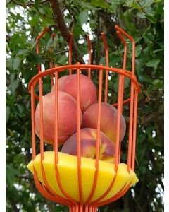 Fruit Collector Basket